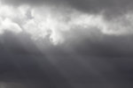 IMG_1814resmall