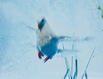 IMG_7365small