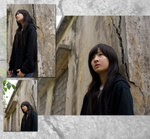 dandan12 copy