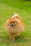 IMG_5345small