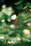 027small