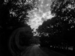 DSCF1719bwsmall