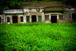 IMG_3179small