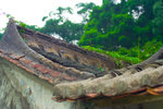 IMG_3185small