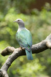 IMG_6517small
