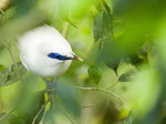 IMG_6521small