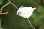 IMG_6563small