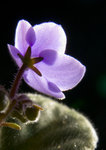 IMG_6135small