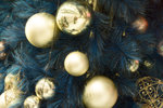 IMG_4014blursmall