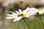 IMG_7099small