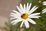 IMG_7107small