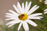 IMG_7111small