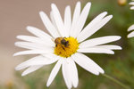 IMG_7113small