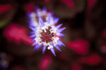 IMG_7150small