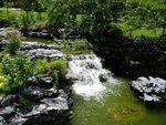 IMGP2334