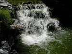 IMGP2335