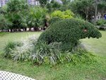IMGP2847
