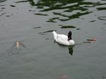 IMGP2895