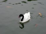 IMGP2896