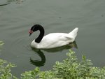 IMGP2897