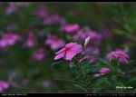 IMG_9321_nEO_IMG