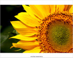 IMG_6064P