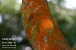 nEO_IMG_IMG_4281