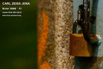 nEO_IMG_IMG_4290