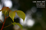nEO_IMG_IMG_4291