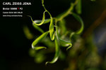nEO_IMG_IMG_4296
