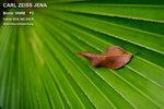 nEO_IMG_IMG_4303