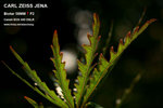 nEO_IMG_IMG_4304