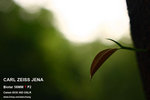 nEO_IMG_IMG_4311