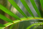 nEO_IMG_IMG_4315