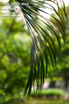 nEO_IMG_IMG_4316