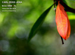 nEO_IMG_IMG_4319