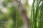 nEO_IMG_IMG_4326