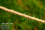 nEO_IMG_IMG_4327