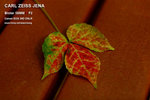 nEO_IMG_IMG_4329