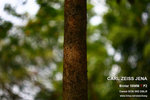 nEO_IMG_IMG_4334