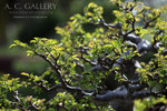 nEO_IMG_IMG_7297