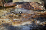 nEO_IMG_IMG_7311