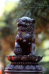 nEO_IMG_IMG_7316