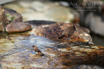 nEO_IMG_IMG_7331