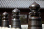 nEO_IMG_IMG_7351