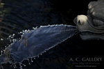 nEO_IMG_IMG_7366