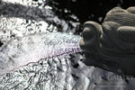 nEO_IMG_IMG_7376