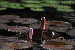 nEO_IMG_IMG_7379