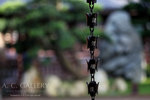 nEO_IMG_IMG_7421