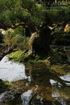 nEO_IMG_IMG_7427